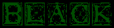 black.GIF (3449 bytes)
